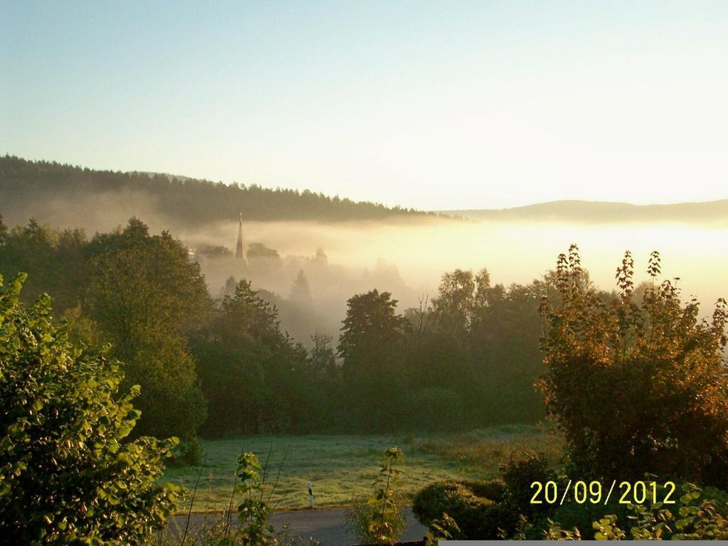 Zum Fliegenden Hollander Pension Zwiesel Buitenkant foto
